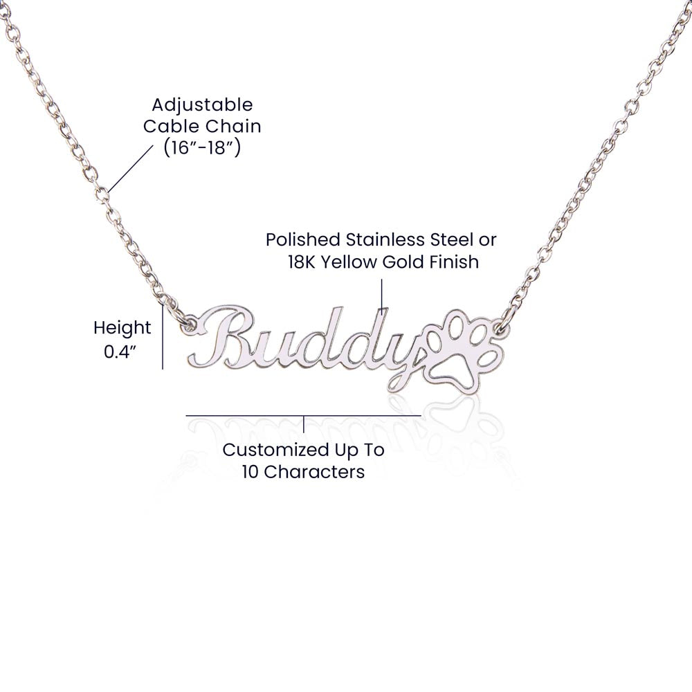 A Truly Amazing Baby Sitter | Thank You For All You Do | Professional Name Pendant Necklace