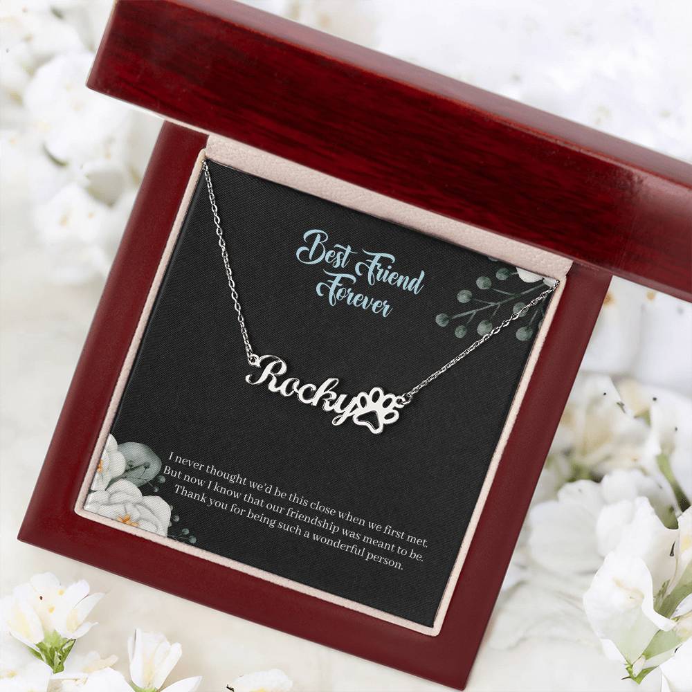 Best Friend Forever | Our Friendship Is Meant To Be | Custom Name Necklace